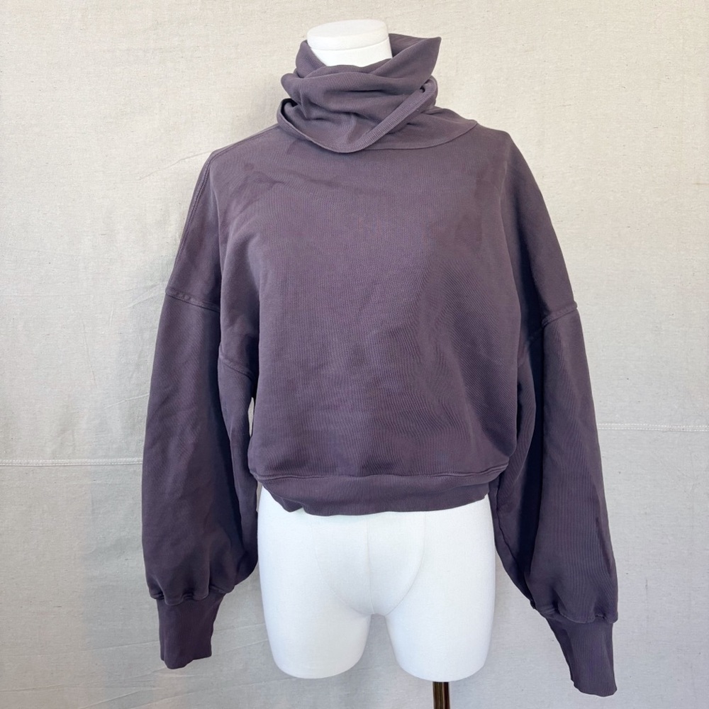 AGOLDE plum pullover sweatshirt size small